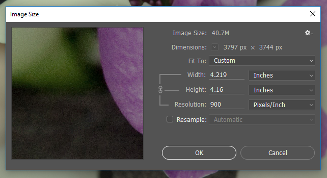 Screencapture of the Photoshop® Image Size dialog showing changes to the image's printed width and height when Resolution is adjusted to 900 pixels/inch.
