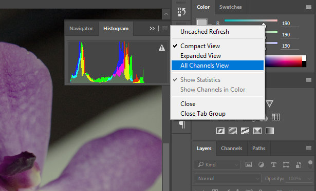 Screenshot showing closeup view of the Adobe® Photoshop® Histogram panel with its menu open and "All Channels View" selected.