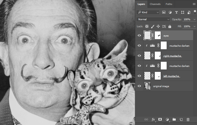 Copy of Dali's eyes positioned on cat's face.