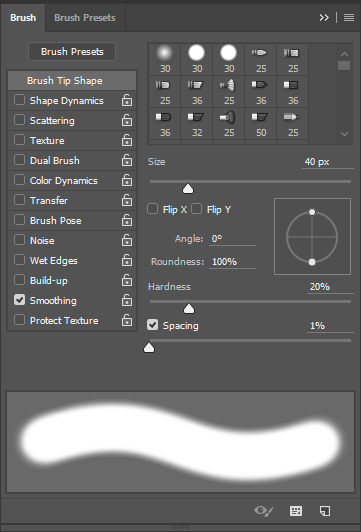 Screen capture of Brush panel showing our brush settings.