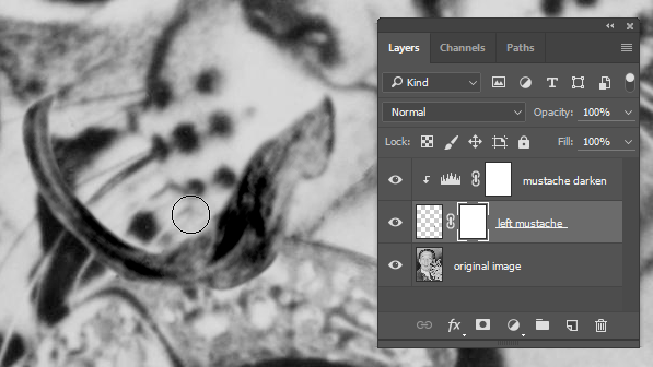 Screen capture showing brush painting into layer mask to clean up mustache edges.