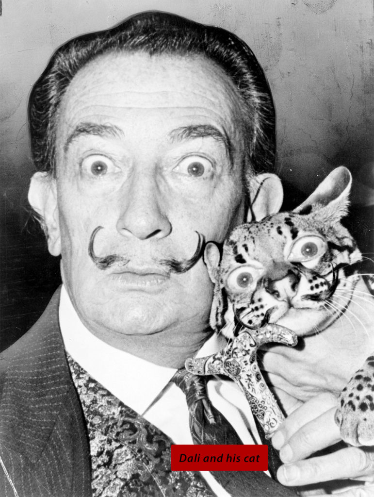 Full image of final result: Dali and His Cat (with his eyes and mustache on the cat).