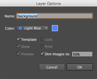 Layer Options dialog box