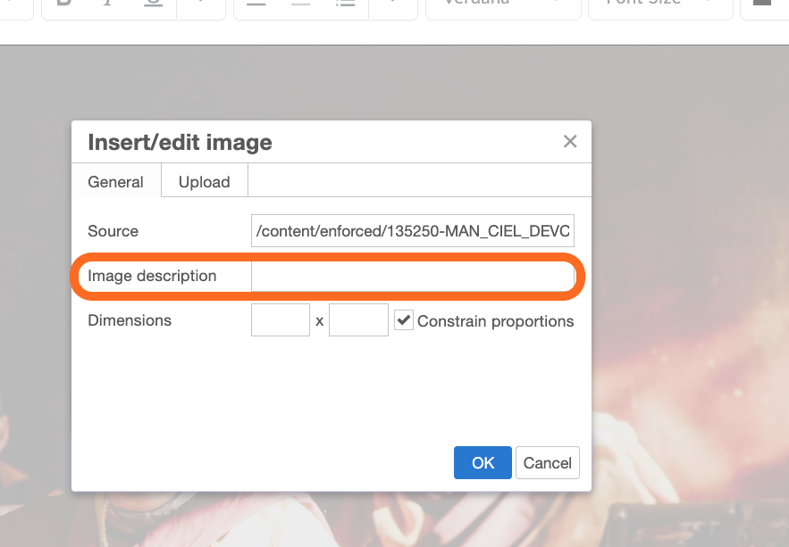 Insert/edit image menu for adding Image Description.