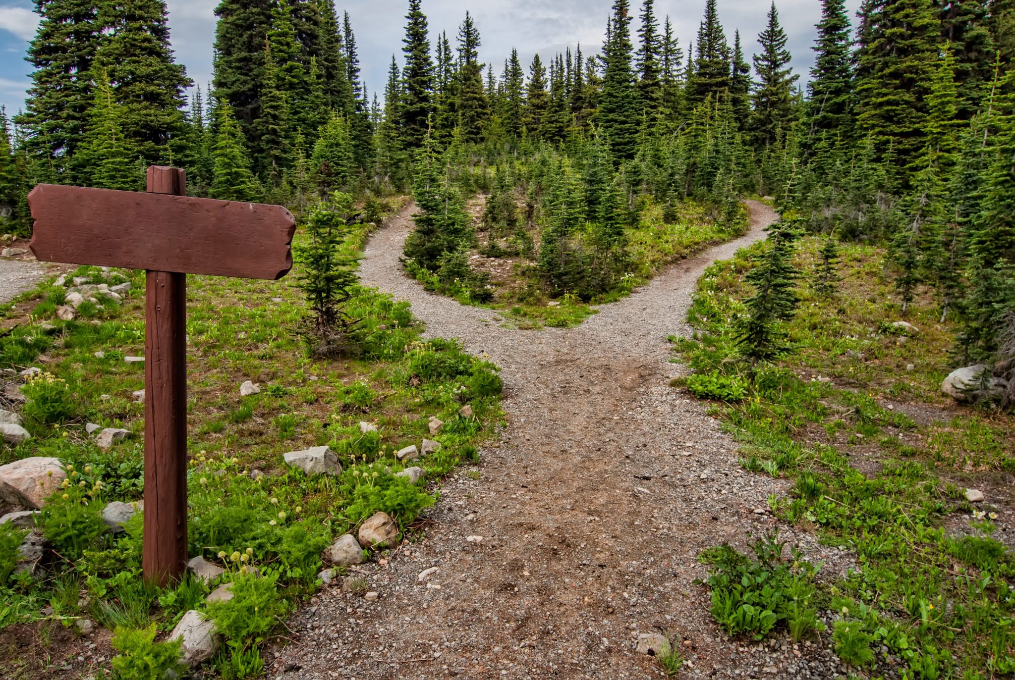 different-paths-same-destination-by-susan-burwash