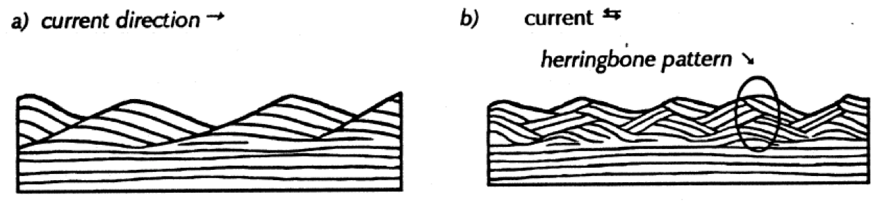 left- ripples with cross-beds tilted in the same direction. Right- ripples with cross-beds forming a cris-cross pattern
