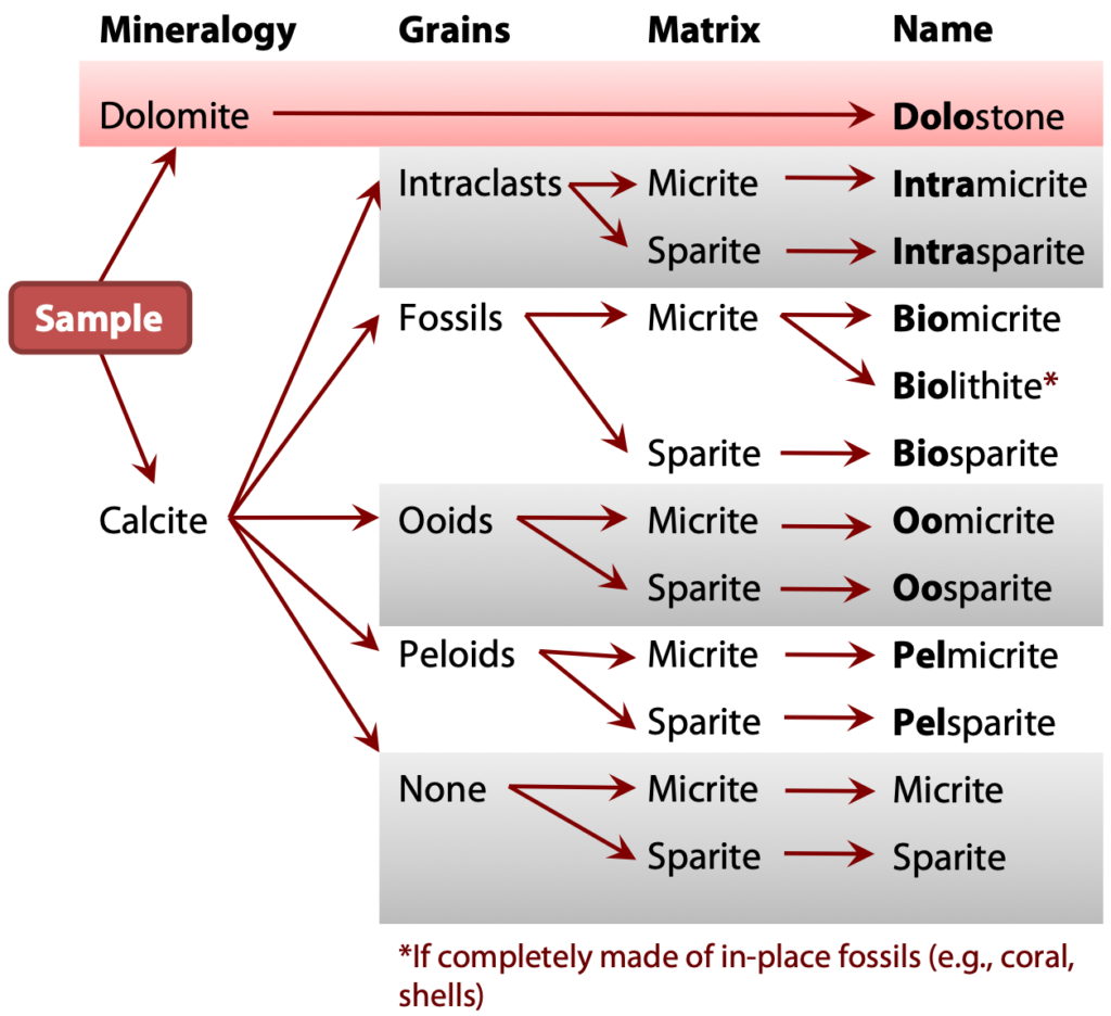 Describing and Naming Chemical and Biochemical Sedimentary Rocks ...