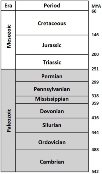 Lab 8. Fossils of the Mesozoic – Laboratory Manual for Earth History