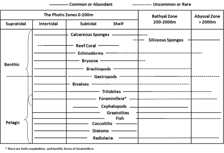 Exercise 9.1. Using Fossils for Correlation Laboratory Manual for