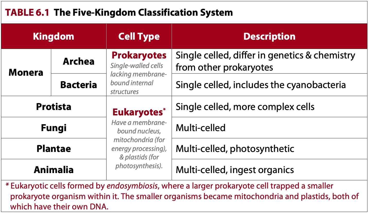 Table 6.1. The five kingdom classification system