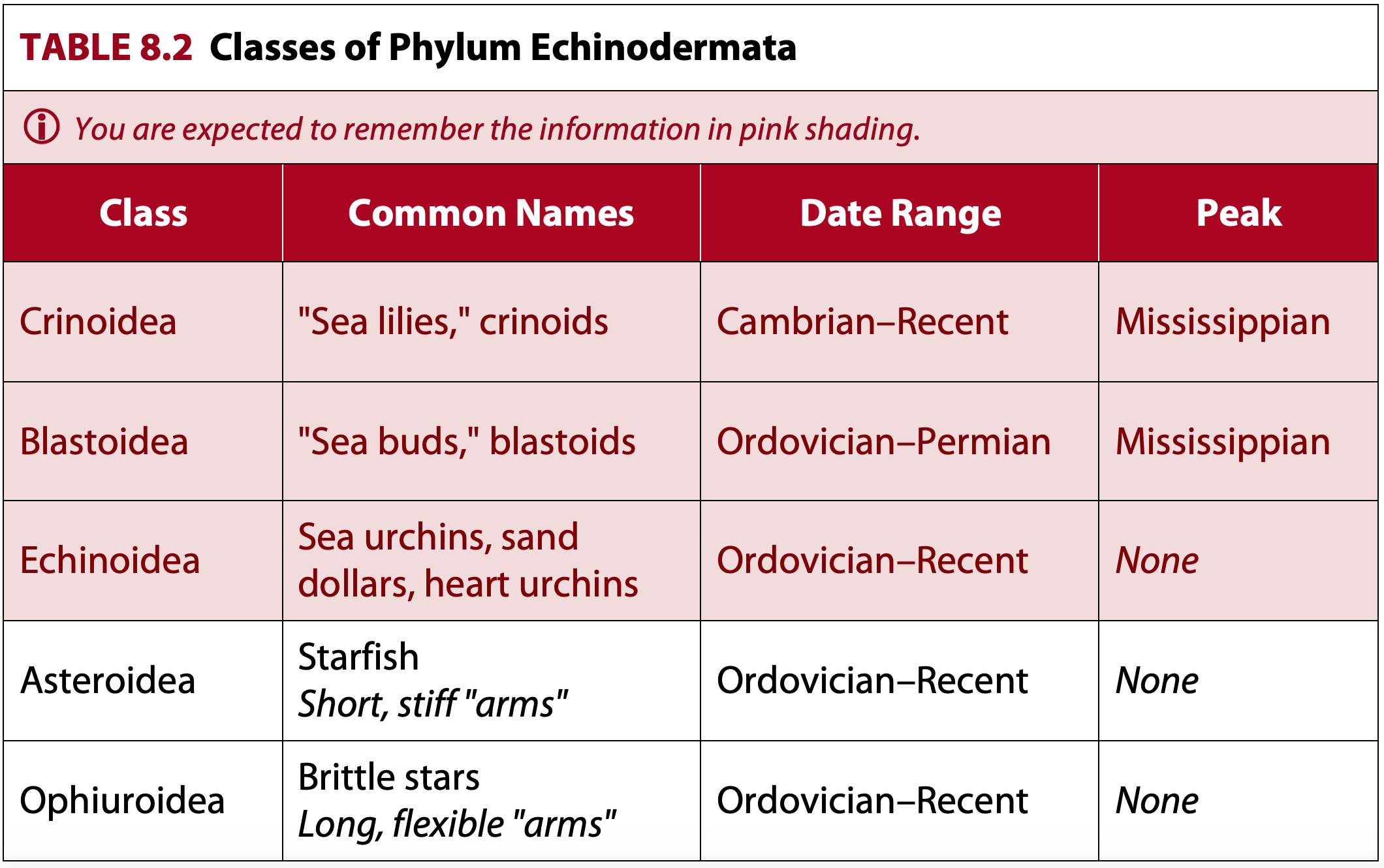 Classes of Phylum Echinodermata
