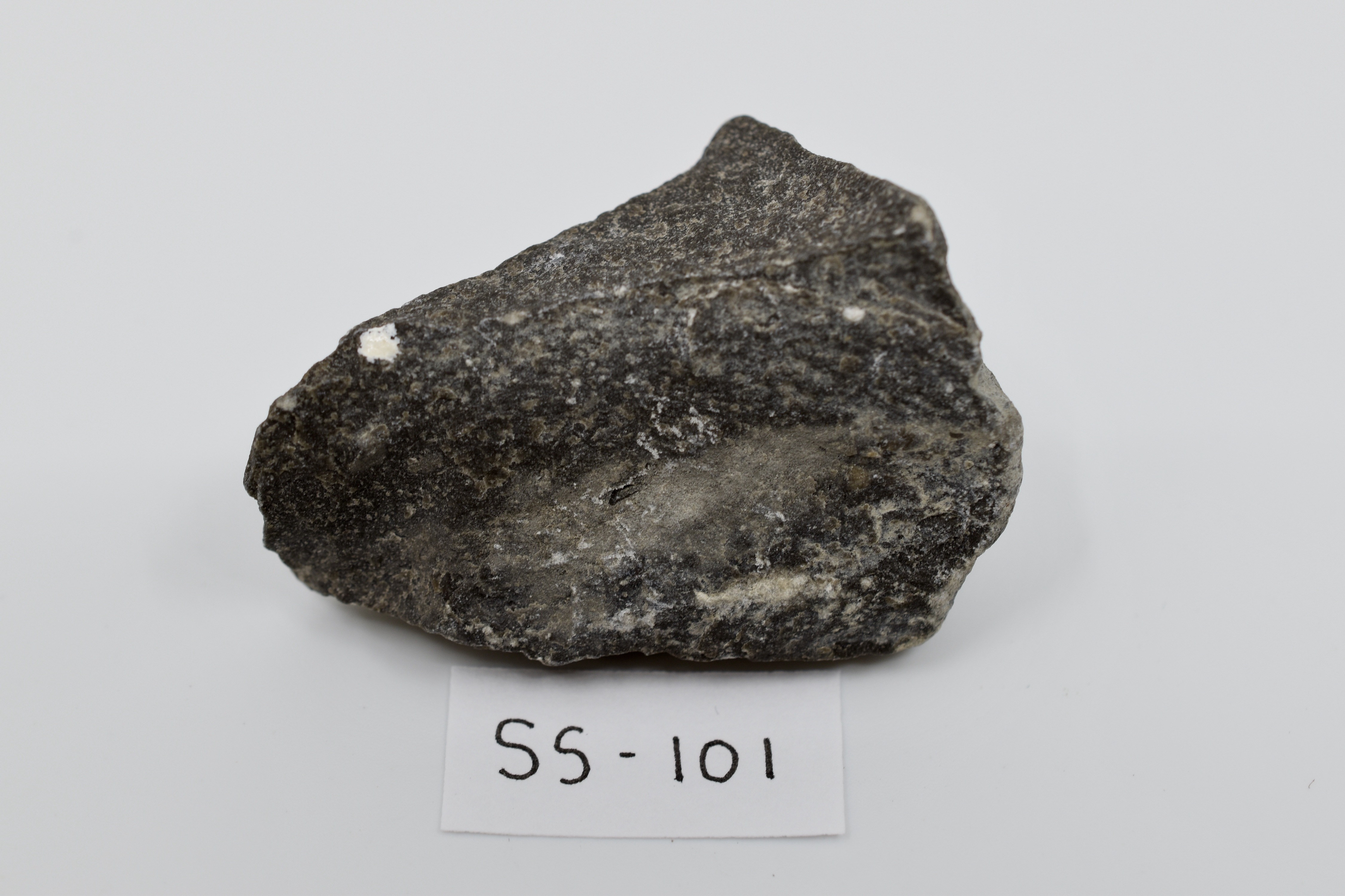SS-101