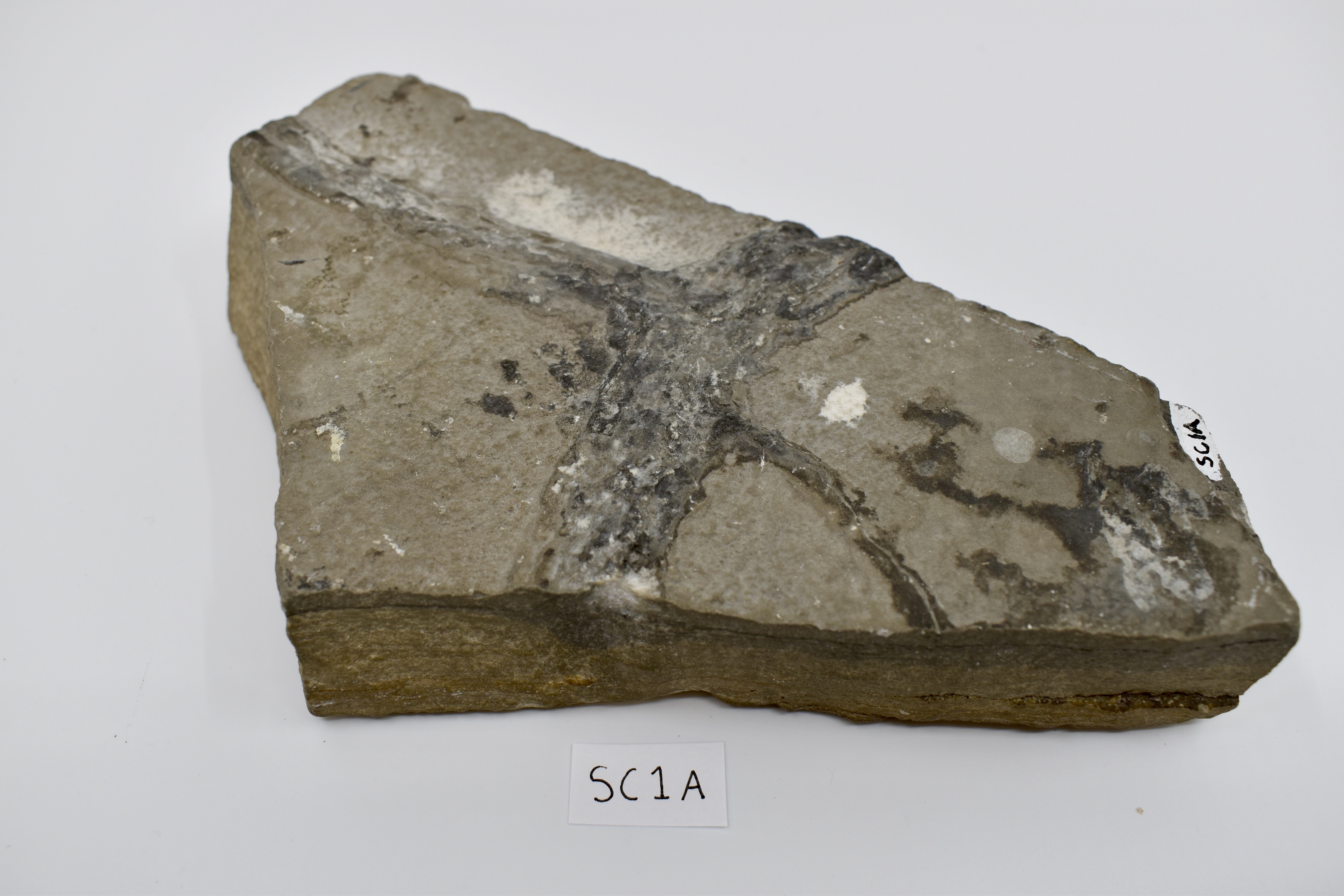 SC1A-A