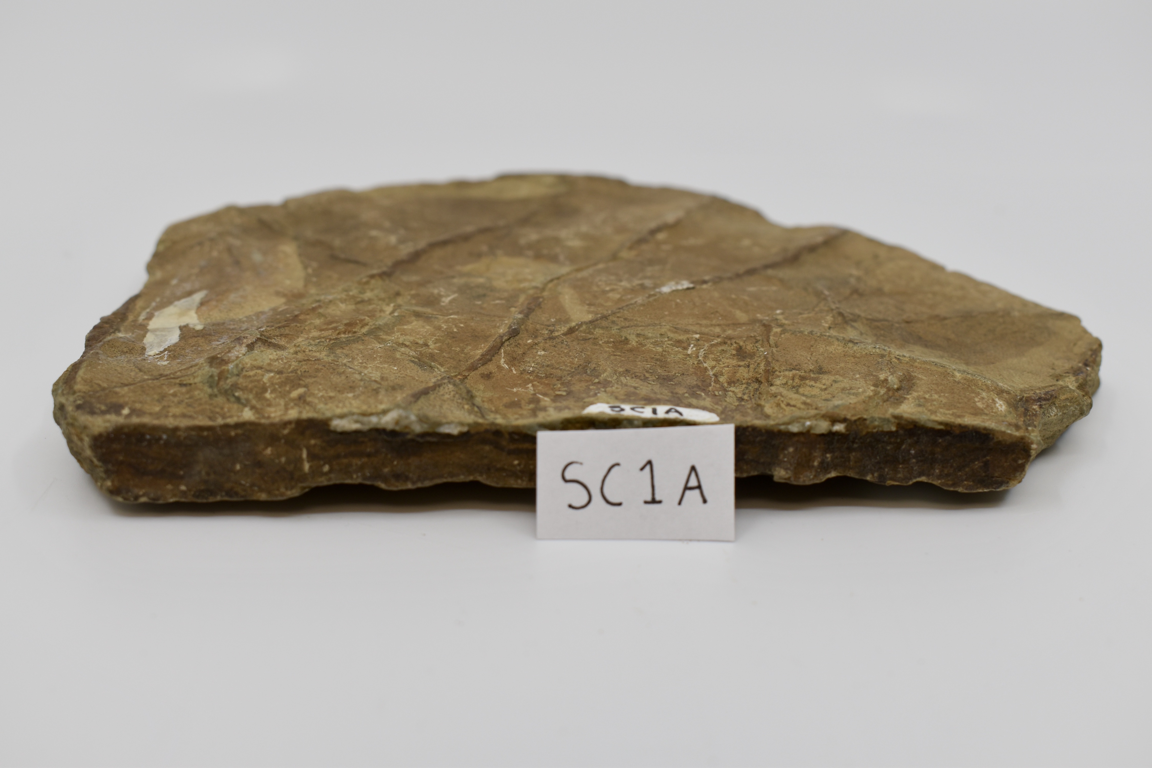SC1A-B