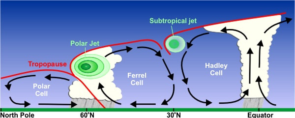 An image showing different wind systems and patterns across the Earth such as the Hadley Cell, Ferrel Cell, Polar Cell and Subtropical jet. A latitude scale is represented on the x-axis from the Equator to the North Pole.