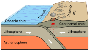 Simple diagram of an oceanic-continental convergent plate boundary and the features on the surface such as oceanic trench and volcanic arc.