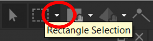 Rectangle Selection icon