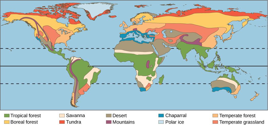 Earth Floor: Biomes