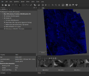 Screen shot of MetaShape showing the resulting orthomosaic image