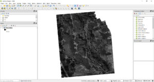 Screen shot of QGIS showing the Blue band orthomosaic in grayscale