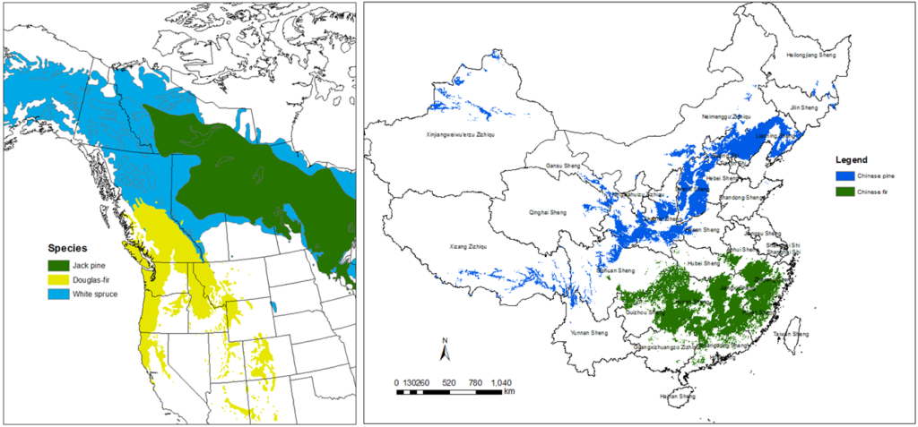 Figure 2.1.3. Forest tree species distributions