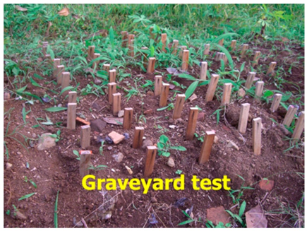 Figure 2.1.4. A “graveyard” test for evaluating the rot resistance of wood samples