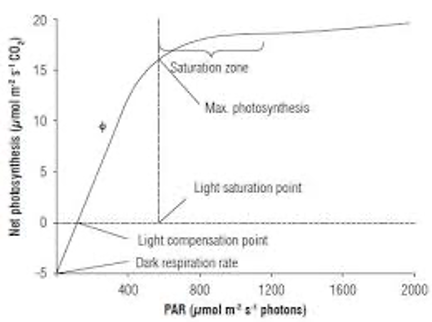 Figure 5.2.2