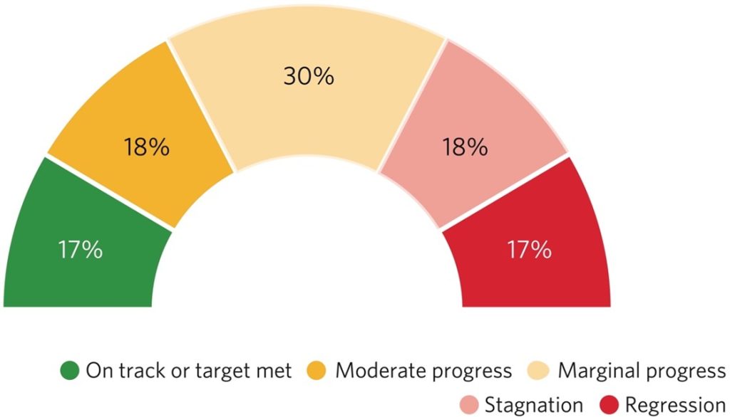 This figure describes progress based on the 2015-2024 global aggregate data. We are on track to meet 17% of targets, making moderate progress on 18% and marginal progress on 30%, while 18% show stagnation and 17% regression.