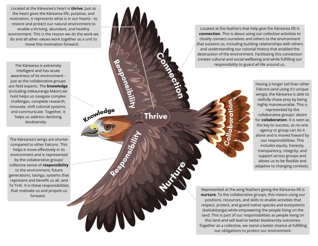 Central image of an eagle with labels on different body parts representing specific values and principles such as Responsibility, Nurture, Collaboration, Thrive, Knowledge etc. An accompanying text box provides explanations of the meaning of each labeled word and the rationale for its placement on the eagle’s body.