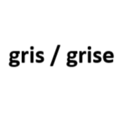 gris / grise