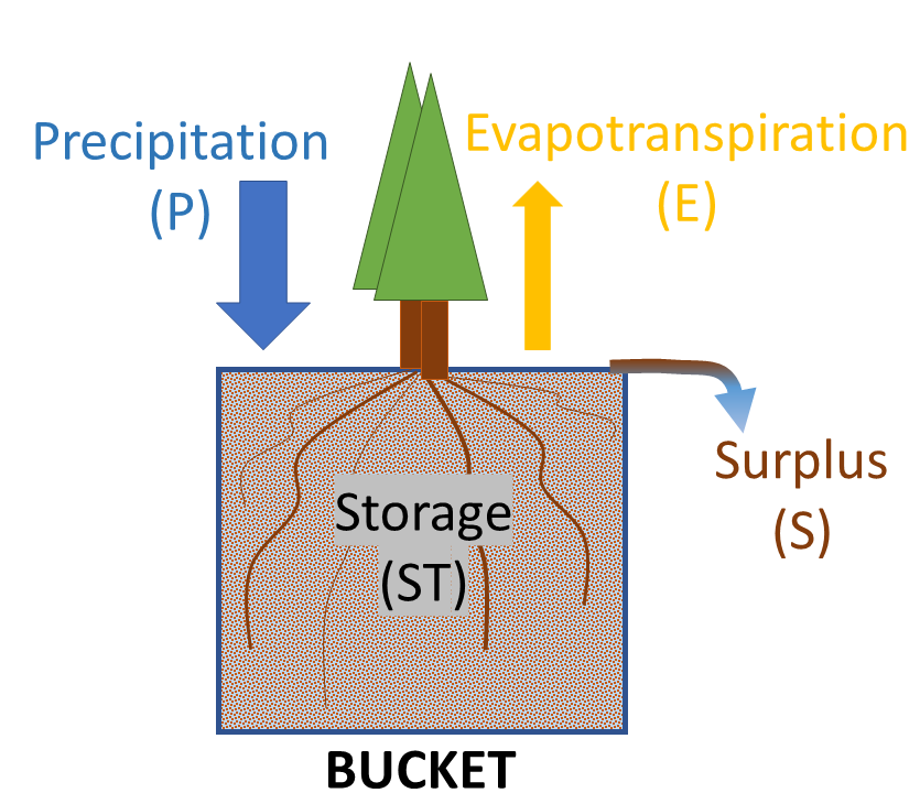 The example bucket could be filled with soil where water fills air spaces. Precipitation falls and supplies the bucket with water. This water is distributed between the tree and root system, evapotranspiration and a surplus.