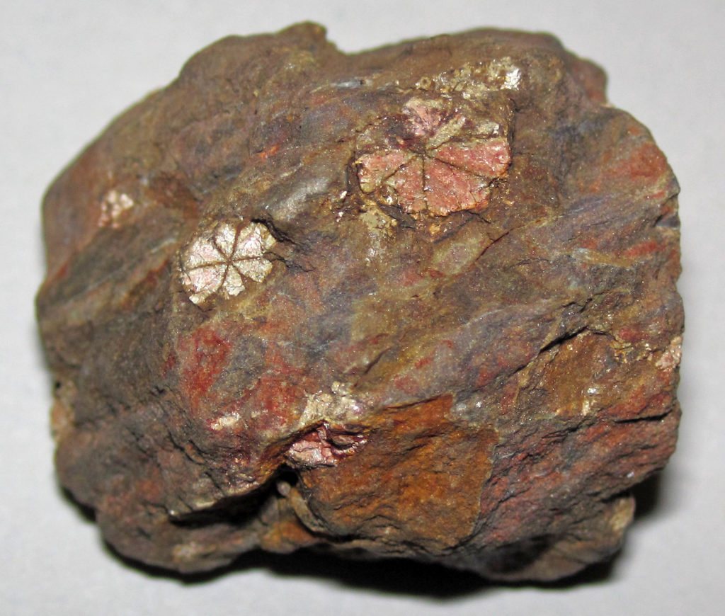 A fine-grained rust-coloured rock with large pink flower-shaped crystals