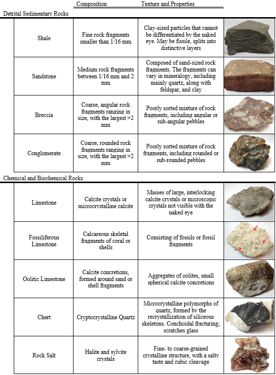 Clastic Sedimentary Rocks Chart