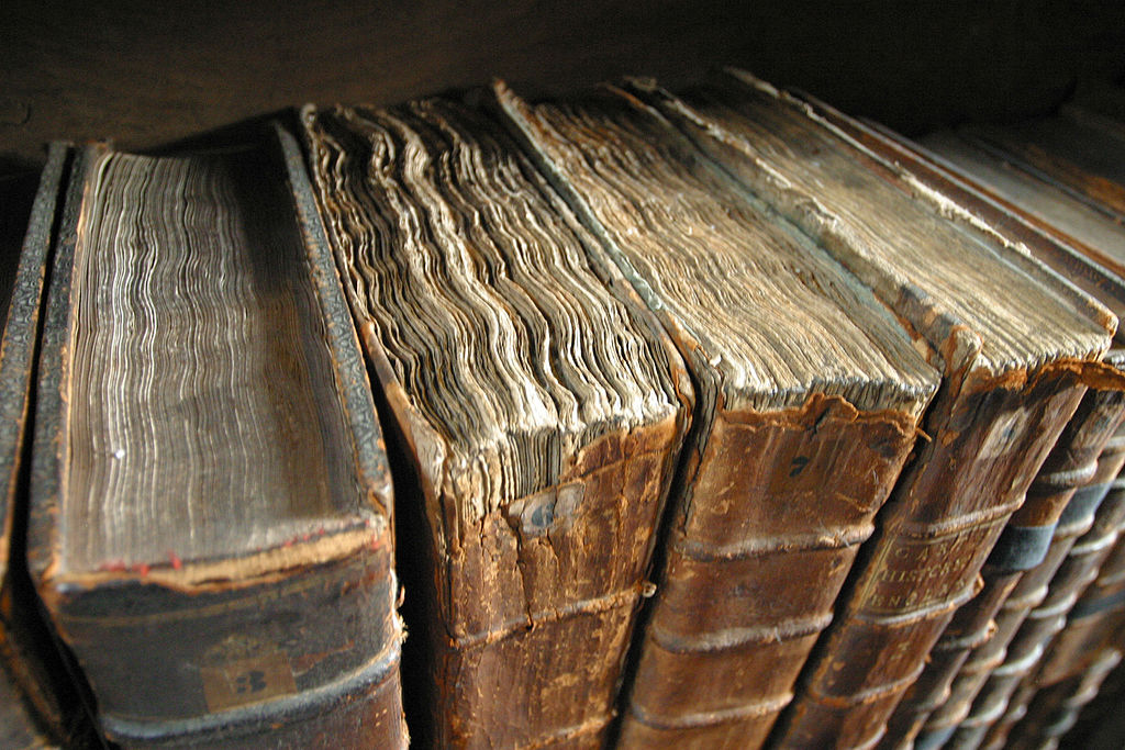 Books standing on a shelf, viewed from above.