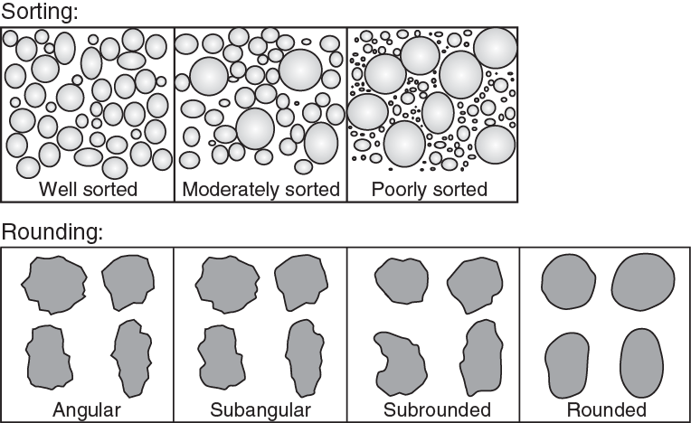 Top: boxes contain circles that go from being similar in size (labelled "well sorted" to having mixed sizes (labelled "poorly sorted"). Bottom: A series of grains go from having no sharp edges or corners (rounded) to having a jagged outline (angular).