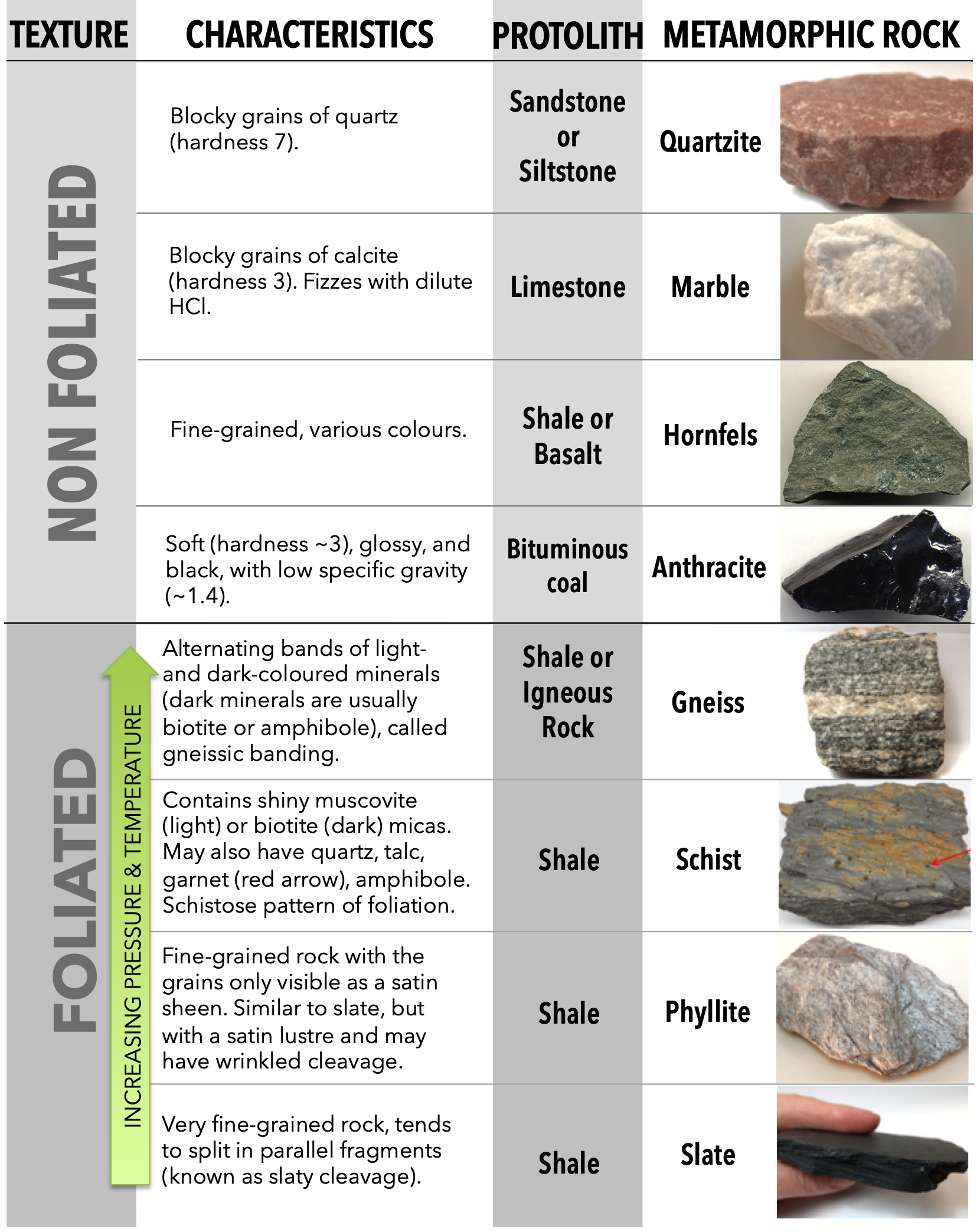 Overview of Metamorphic Rocks – Laboratory Manual for Earth Science (2Ed)