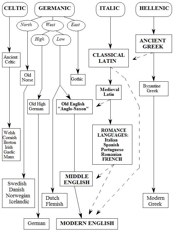 Indo European Language Family Tree Chart