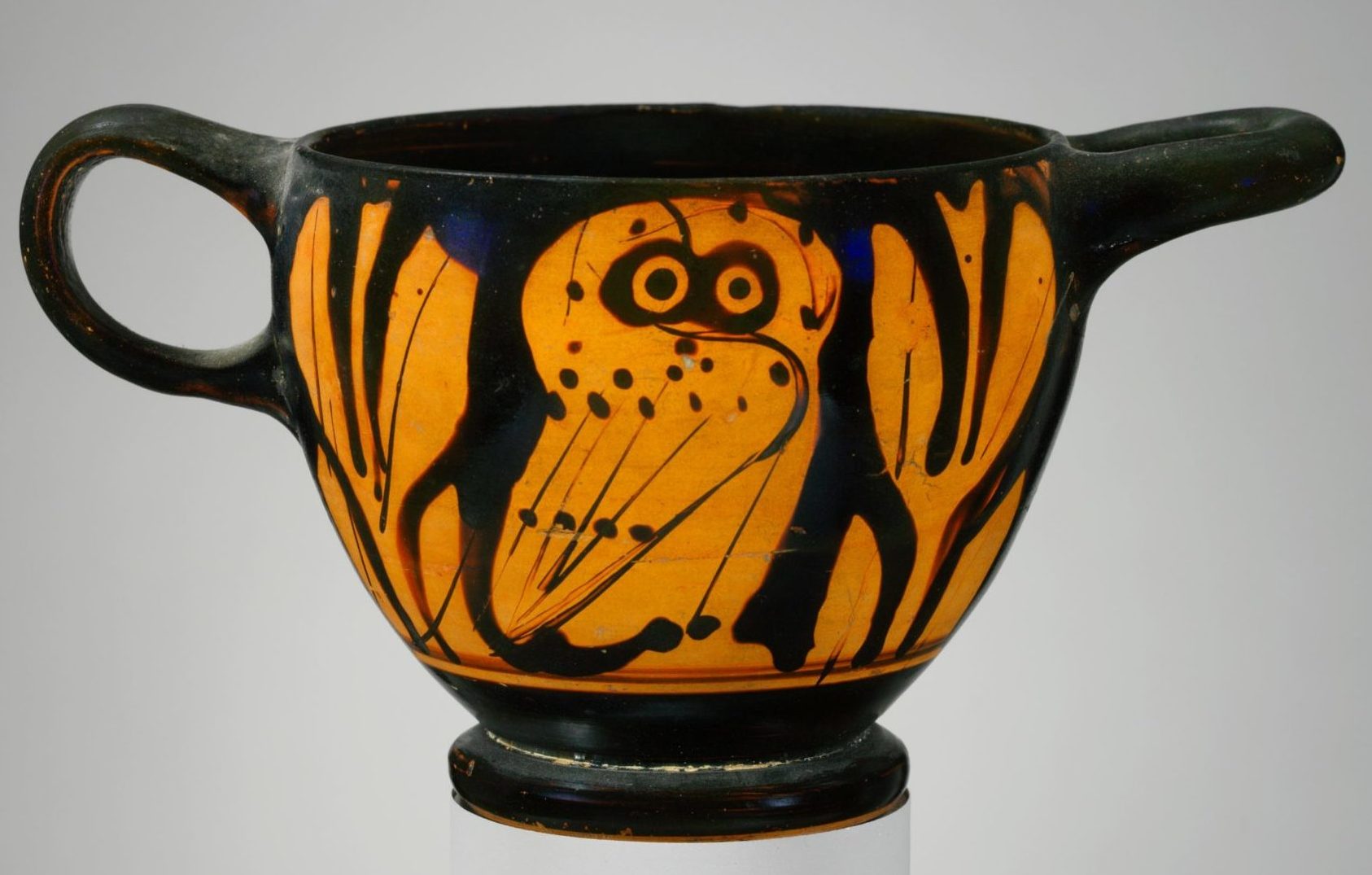 An owl perched among plants on a black background.