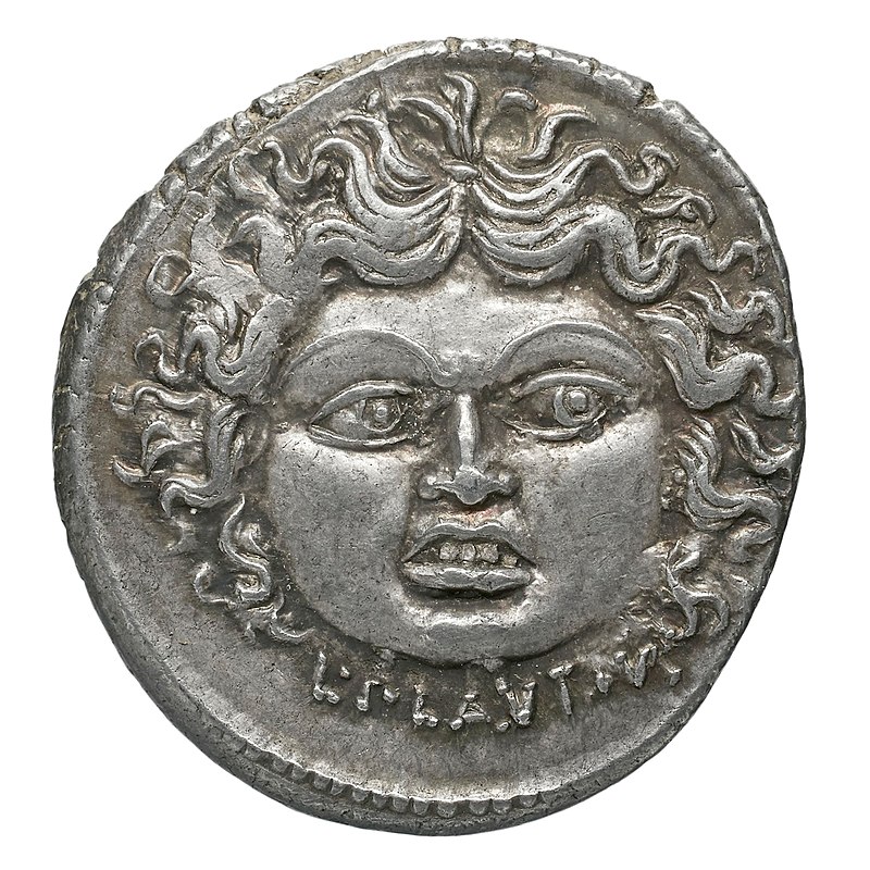 Head of Medusa as a woman with curly hair.