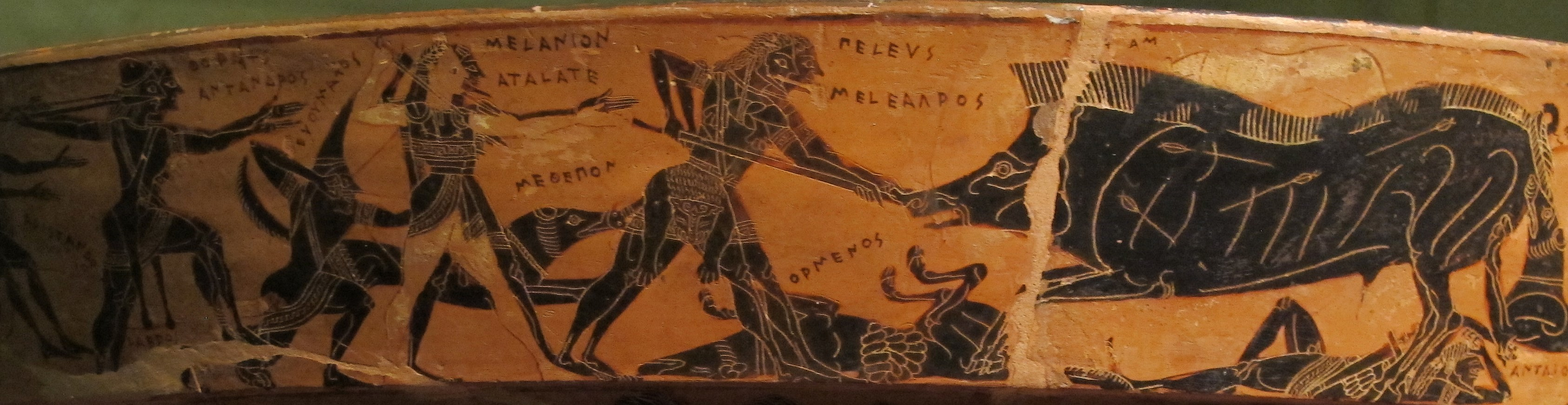 Heroes fighting the Calydonian boar, all labeled with names. Two stab at the boar with spears, and Atalanta stands behind a readies to throw a spear. Archers and a dog stand behind her. A dead dog and hero lie on the ground. Atalanta is depicted in white, while the male heroes are painted in black.