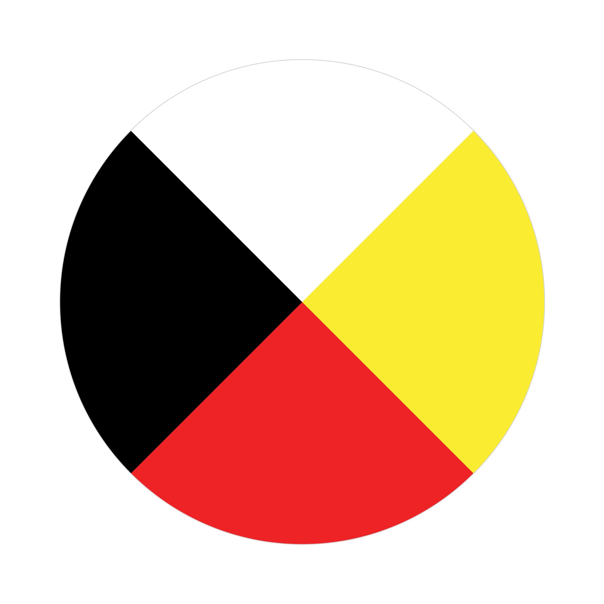 the medicine wheel symbol, a circle made up with quarters of white, black, red and yellow colour