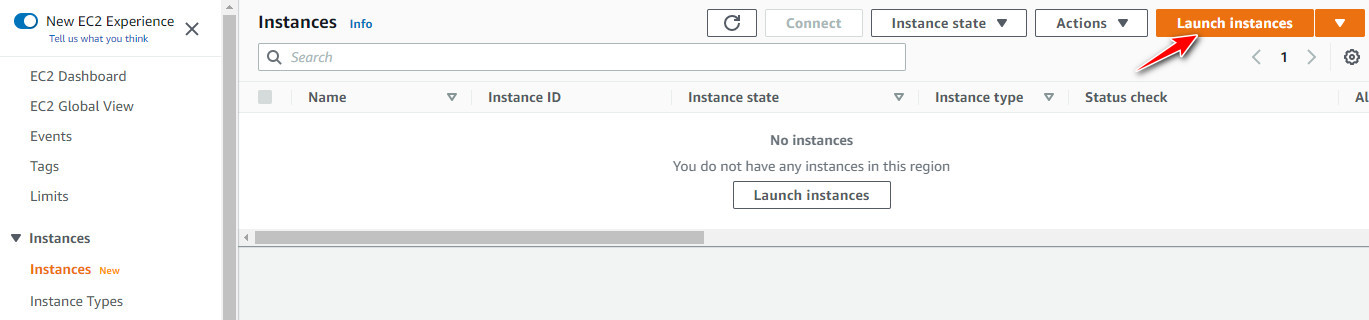 Launch a FortiGate instance