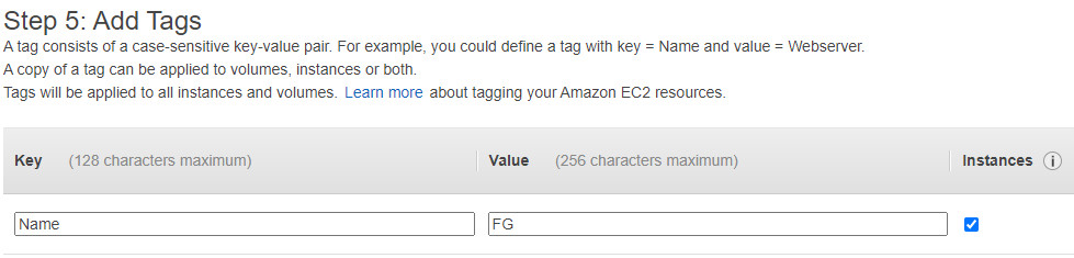 Assign Tag with Key is Name and Value is FG