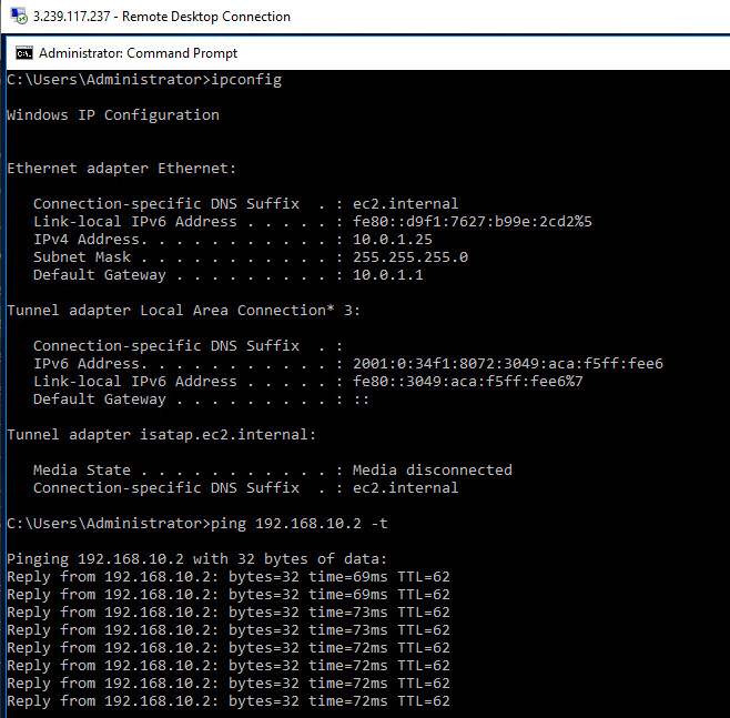 Ping from Windows VM to webterm