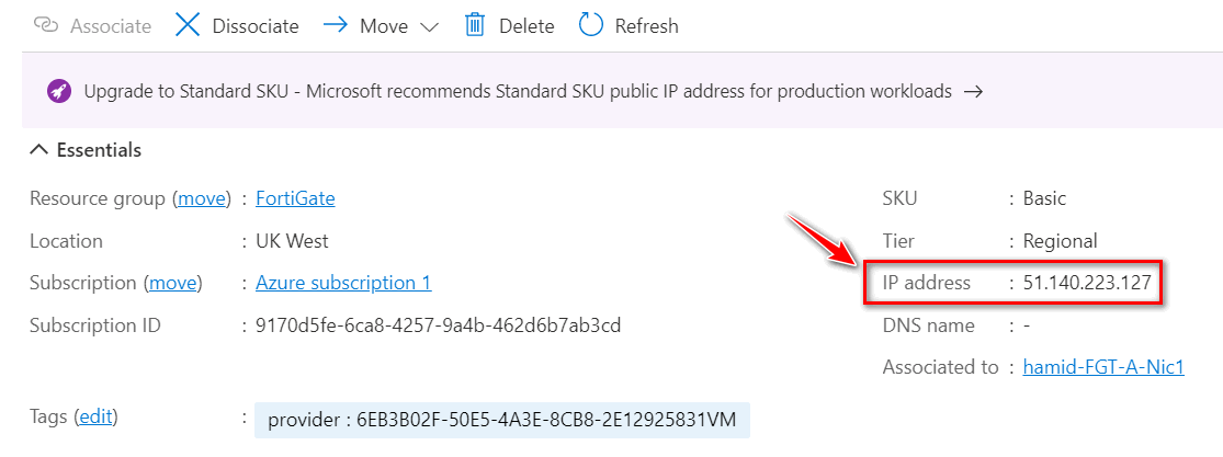 FortiGate Public IP Address