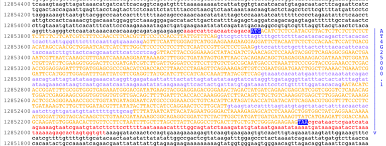 56 Genetic Code Human Biology Excerpts For Bbio 053 5762