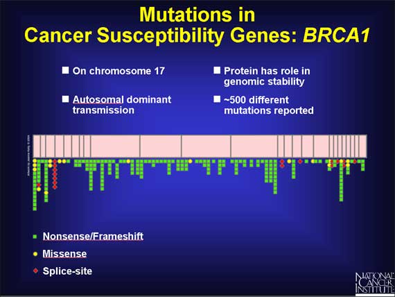 Mutations in Cancer Susceptibility Genes: BRCA1