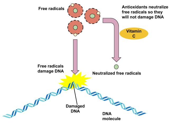 Antioxidants