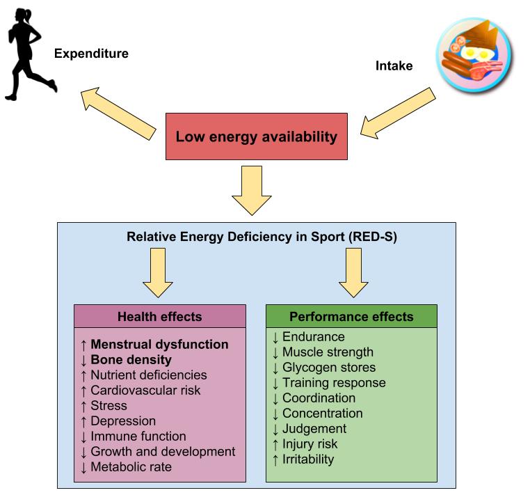 The health and performance effects of RED-S