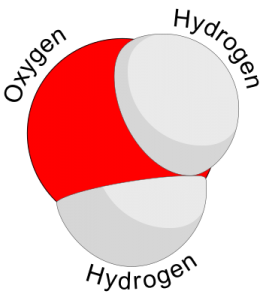 The oxygen and hydrogen atoms in water